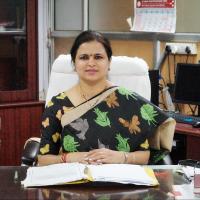 Vice President of the SVES
