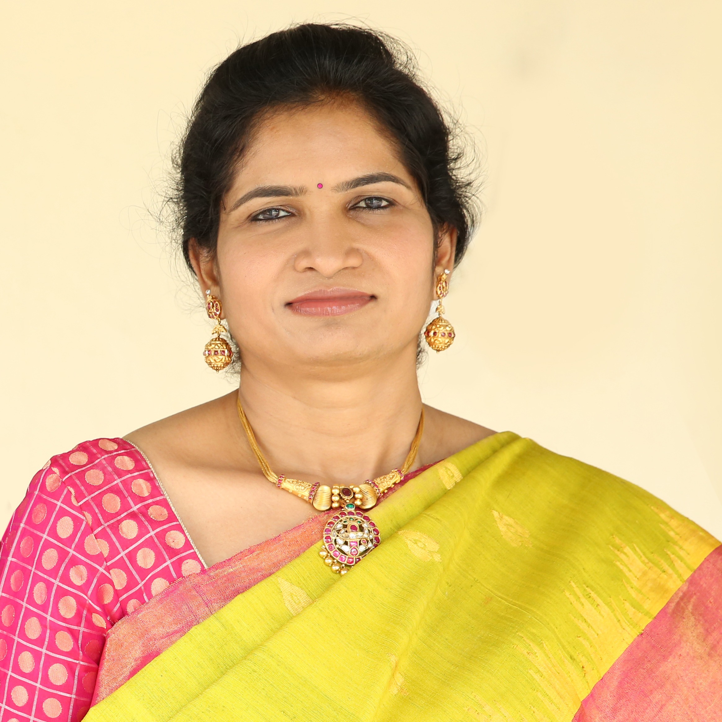 Treasurer of the SVES